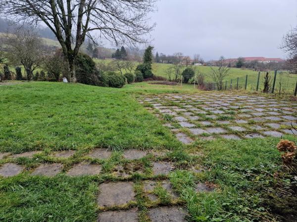 Proche VEZELISE (54) 2 maisons de village avec dépendances à rénover / 1000 m2 env Terrain
