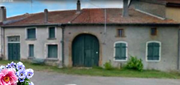 Proche VEZELISE (54) 2 maisons de village avec dépendances à rénover / 1000 m2 env Terrain