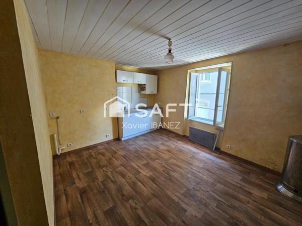 Immeubles de rapport Chaudes-Aigues (15100)