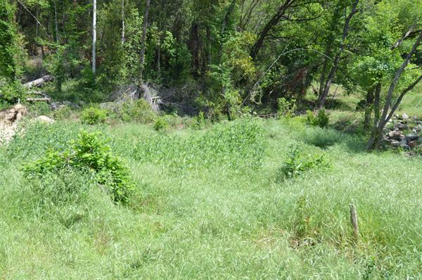 Terrain Saint Paul De Vence 1596 m2