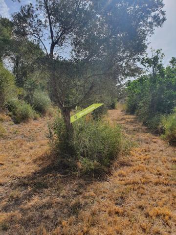 Marignane (13700) Terrain 1027 m2 + Chemin. 1170 m2 colline Marignane (B+C)