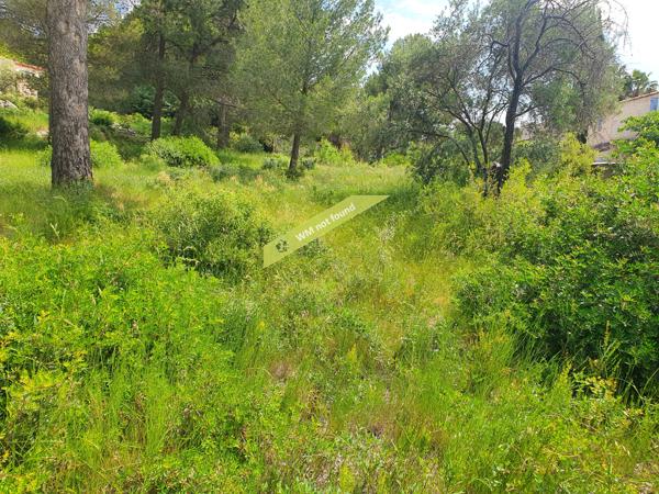 Marignane (13700) Terrain 1027 m2 + Chemin. 1170 m2 colline Marignane (B+C)