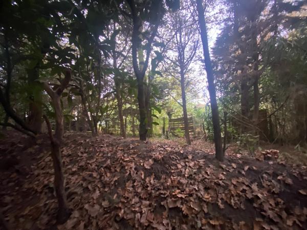 Terrain constructible de 1 055M2 proche des commodités à SAINT PIERRE DU MONT (40)