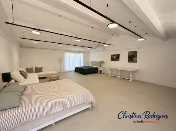 LORGUES VILLA T6 DEPENDANCE PISCINE LOFT