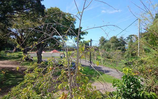 Maison à vendre    4 pièces •  Vieux-Habitants