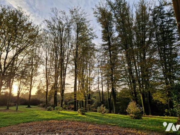 Agréable propriété en campagne