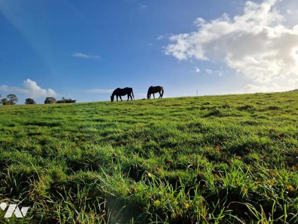Agréable propriété en campagne