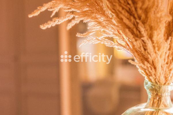 Maison 6 pièces - 162 m² Bien prestige