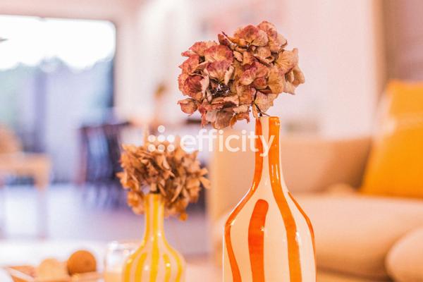 Maison 6 pièces - 162 m² Bien prestige