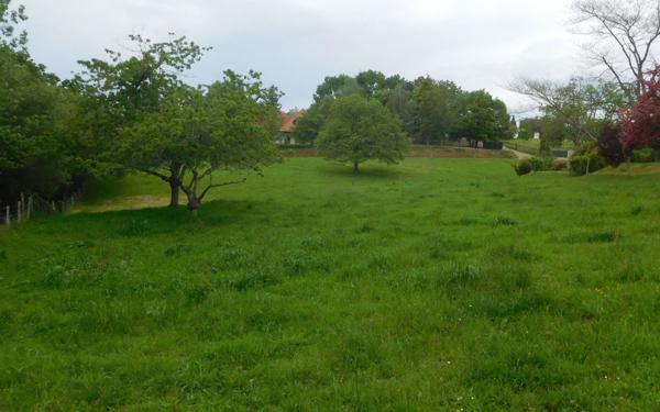 Terrain à vendre    Saint-Yrieix-la-Perche