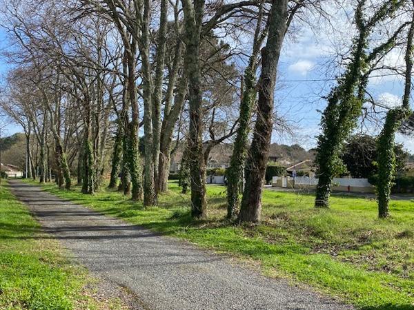 La Teste-de-Buch (33260) Maison de Plain pied proche forêt et commerces