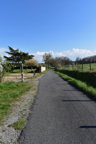 Terrain constructible de 1 120 m² à Vézelin-sur-Loire Vue dégagée Libre constructeur