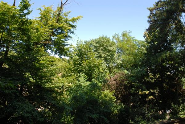 Appartement à vendre 4 pièces, 93 m², 3 chambres SAINTE FOY LES LYON CENTRE (69)