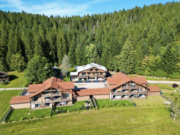 Gérardmer (88400) Chalet Contemporain d'Exception : Piscine, Sauna, et Hammam dans un Cadre Idyllique