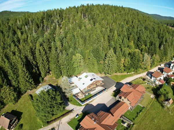 Gérardmer (88400) Chalet Contemporain d'Exception : Piscine, Sauna, et Hammam dans un Cadre Idyllique