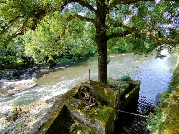 Maison Mortagne sur Sèvre 4 pièces 86 m2