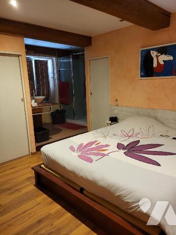 MONTANAY (69), maison ancienne rénovée 7 pièces 196m² habitable terrain 1360m²