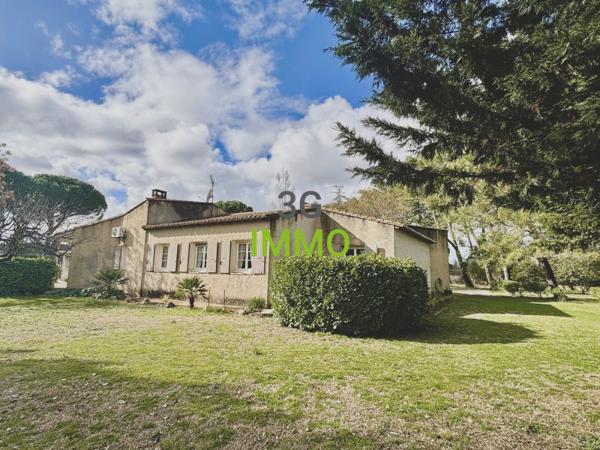 Vente / Maison et grand terrain