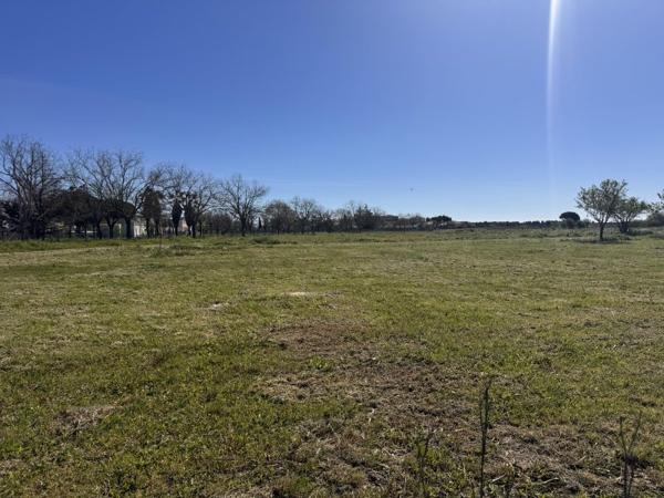 Vente / Terrain constructible