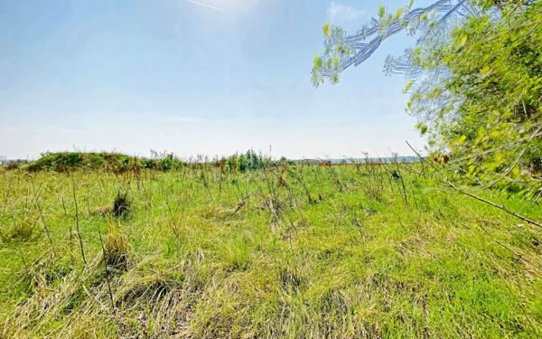 Maison à vendre    5 pièces • 113,50 m2 Longages