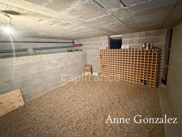 OLIVET SUD, à vendre superbe maison familiale de plus de 200 m2 avec maison d'amis et piscine chauffée dans un environnent calme et privilégié -