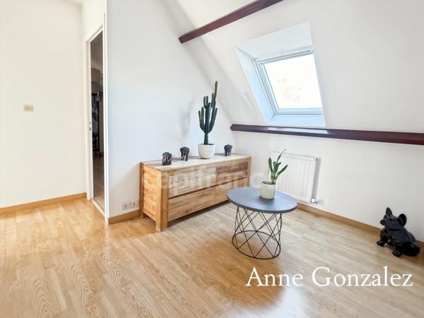 OLIVET SUD, à vendre superbe maison familiale de plus de 200 m2 avec maison d'amis et piscine chauffée dans un environnent calme et privilégié -