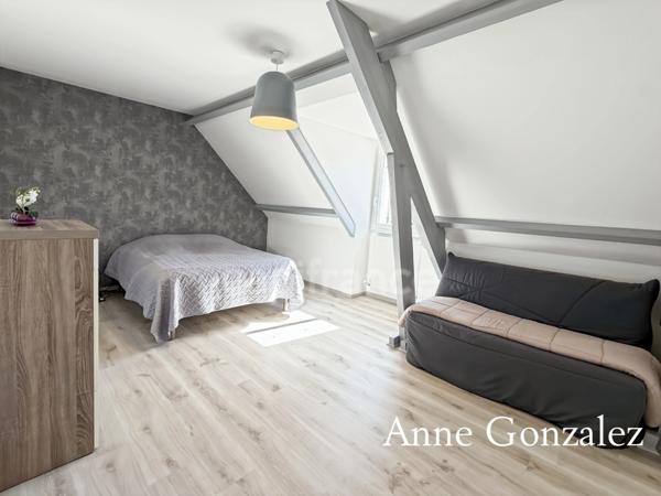 OLIVET SUD, à vendre superbe maison familiale de plus de 200 m2 avec maison d'amis et piscine chauffée dans un environnent calme et privilégié -