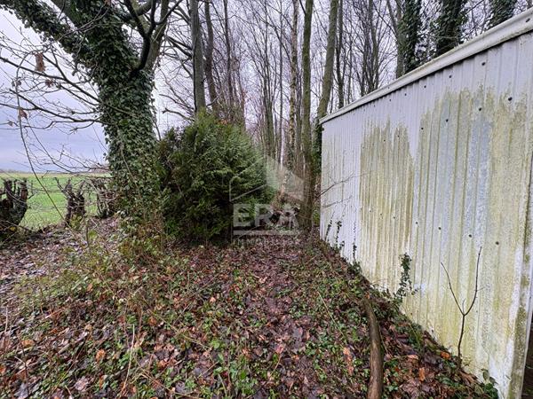 Parcelle boisée avec hangar et accès rivière