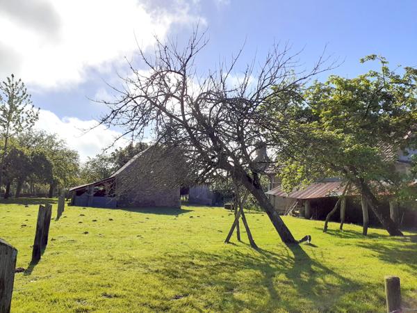 Maison à vendre à Saint-Hilaire-du-Harcouët (50600) - Manche