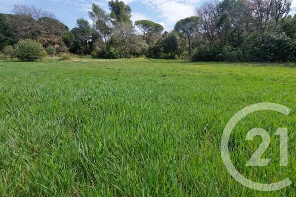 Terrain à vendre  3100 m 2   ST MAXIMIN LA STE BAUME  - 83