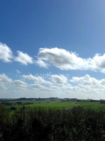 Maison de village en pierre avec gîte attenant entièrement rénovés & petit jardin proche de FLEURANCE (32)