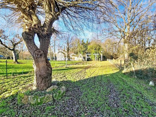 Maison familiale 4 chambres avec sous sol total, grand terrain.