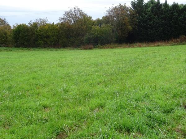 A Chaudenay terrain constructible