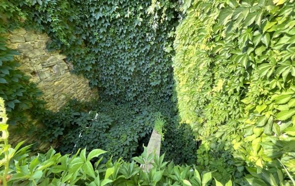 Vente Maison de village COUR - TERRASSE - GARAGE - DEPENDANCE Olonzac   