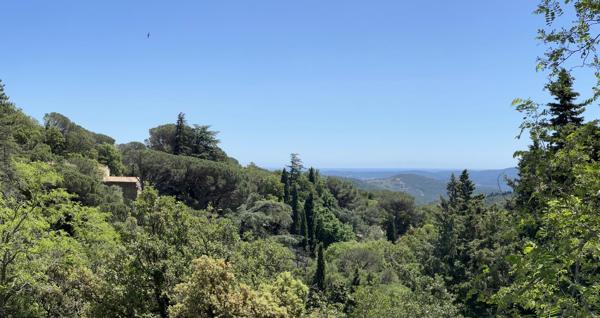 Terrain à vendre à La Garde-Freinet (83680) - Var