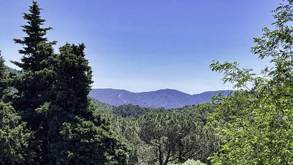 Terrain à vendre à La Garde-Freinet (83680) - Var