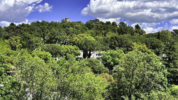 Terrain à vendre à La Garde-Freinet (83680) - Var