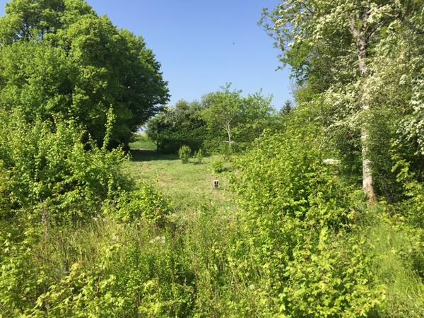 Bouhy (58310) Terrain arboré à bâtir avec compteur d'eau 1172m2