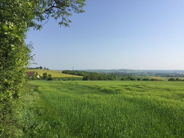 Bouhy (58310) Terrain arboré à bâtir avec compteur d'eau 1172m2
