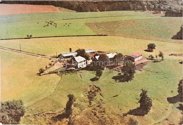 Propriete de 271 m²