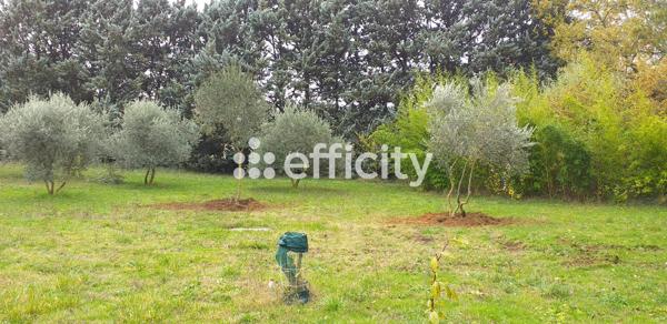 Maison 5 pièces - 103 m² Exclusivité efficity