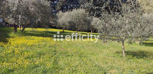 Maison 5 pièces - 103 m² Exclusivité efficity