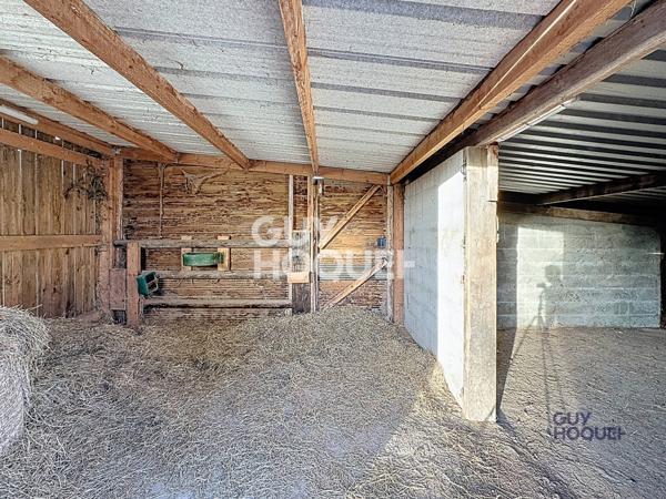 Maison plain-pied 1 hectare avec dépendances