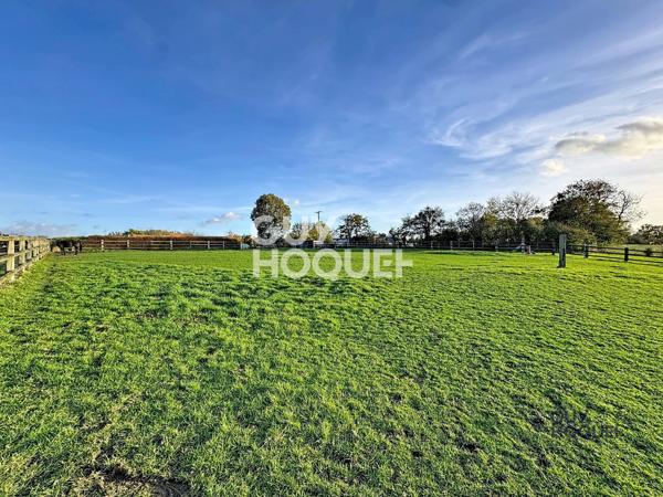 Maison plain-pied 1 hectare avec dépendances