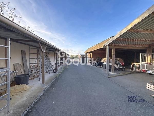 Maison plain-pied 1 hectare avec dépendances