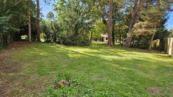 TRÉS BEAU TERRAIN  À BÂTIR - CALME - OMBRAGÉ & ARBORÉ - 2.000 M² ENVIRON
