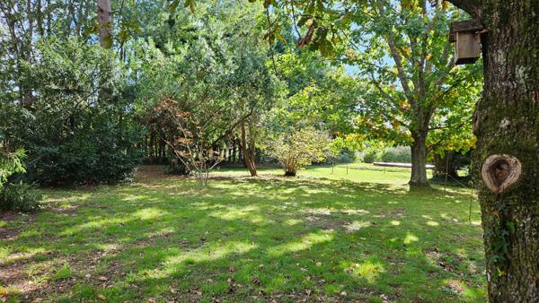 TRÉS BEAU TERRAIN  À BÂTIR - CALME - OMBRAGÉ & ARBORÉ - 2.000 M² ENVIRON