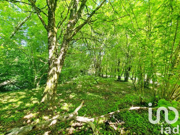 Maison à vendre 5 pièces 92 m² Fontrieu