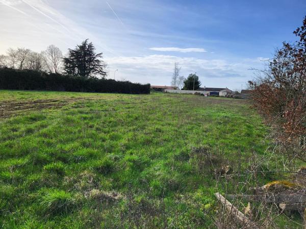 Terrain constructible de 4200m2
