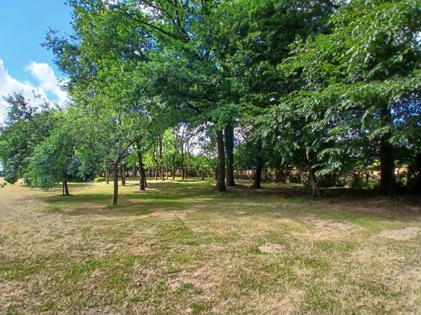 Maison 122 m² habitables sur 5 000 m² de terrain